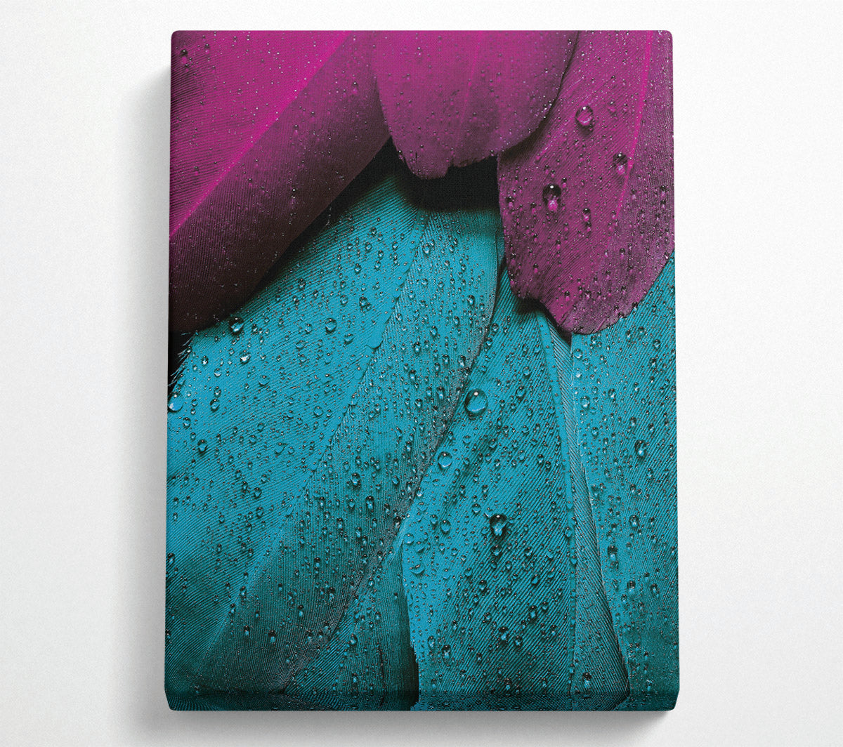 Water Drops On Feathers Canvas Wall Art