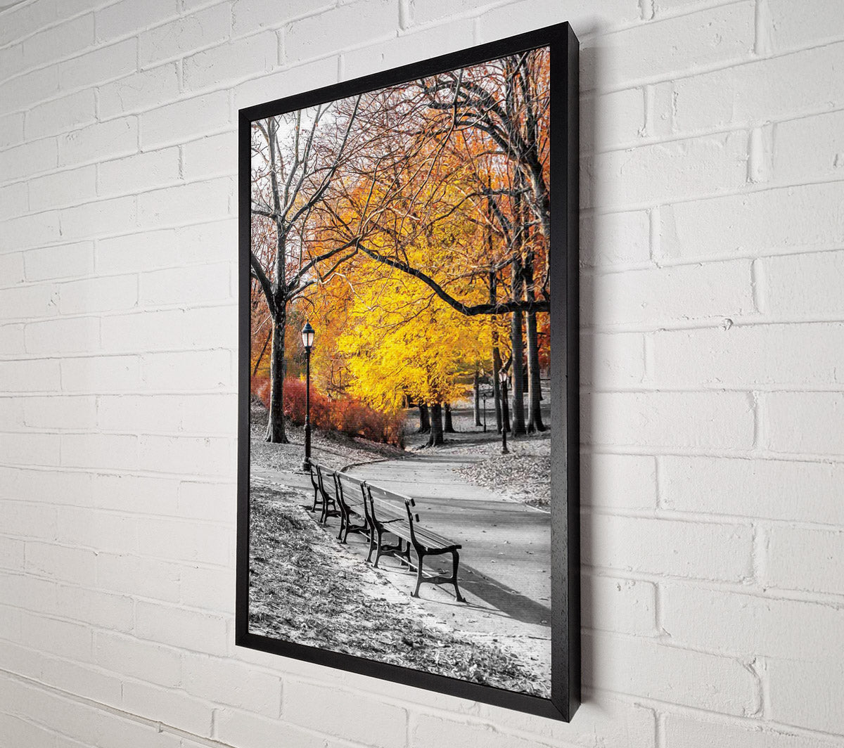 Winter Park Canvas Wall Art