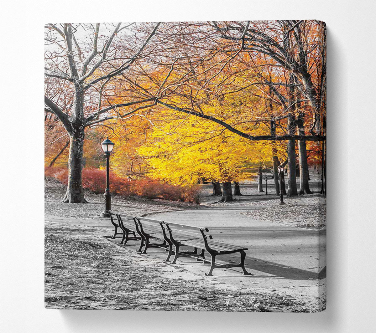 Winter Park Canvas Wall Art