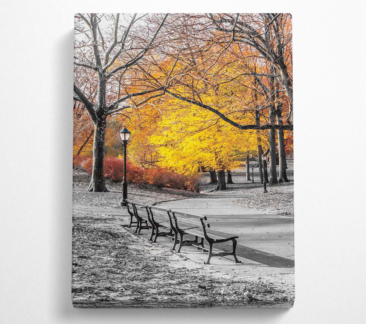 Winter Park Canvas Wall Art