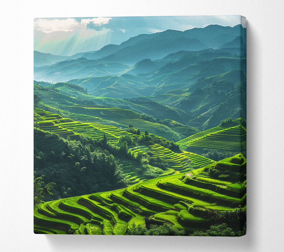 Rice Terraces Canvas Wall Art