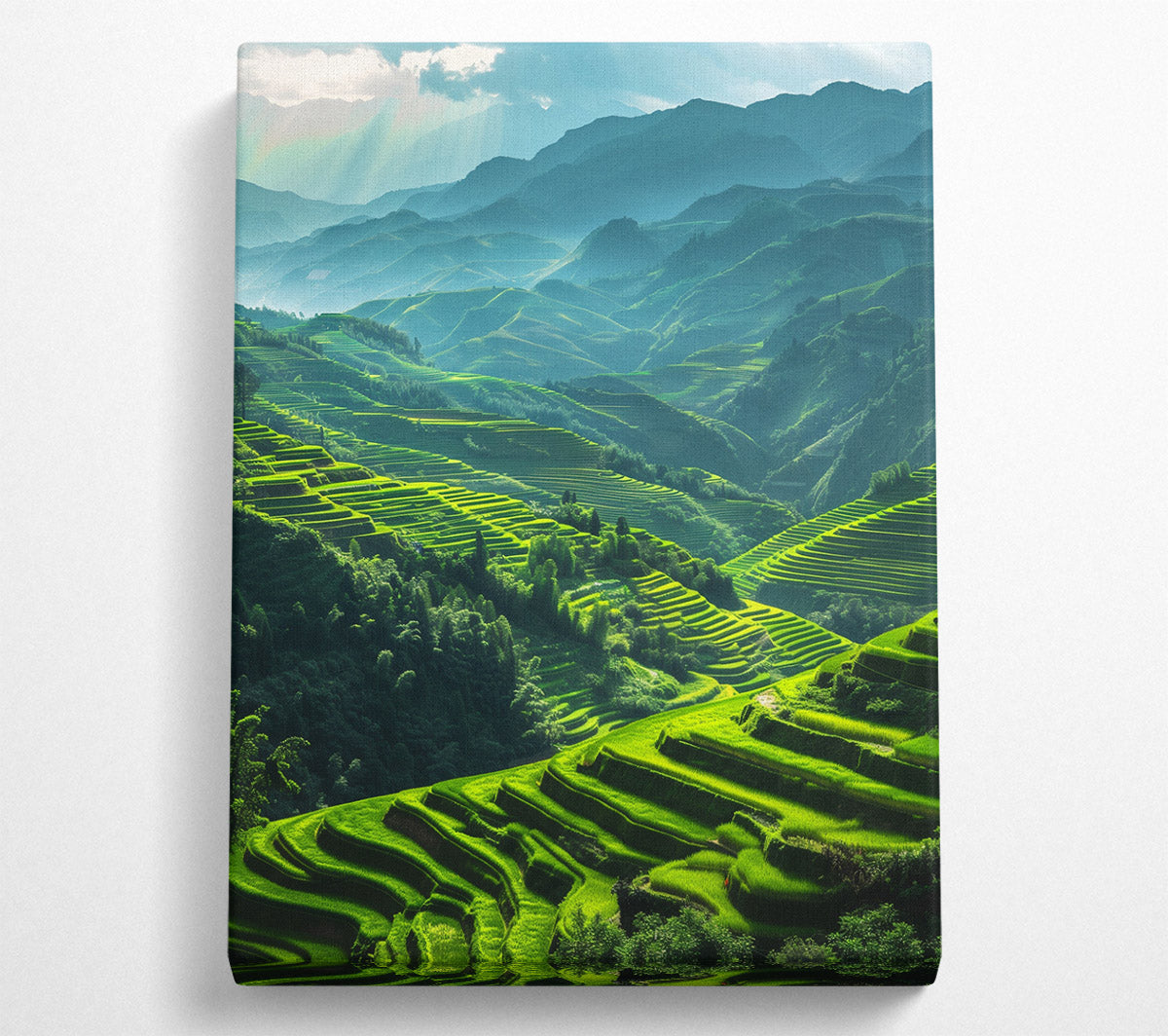 Rice Terraces Canvas Wall Art