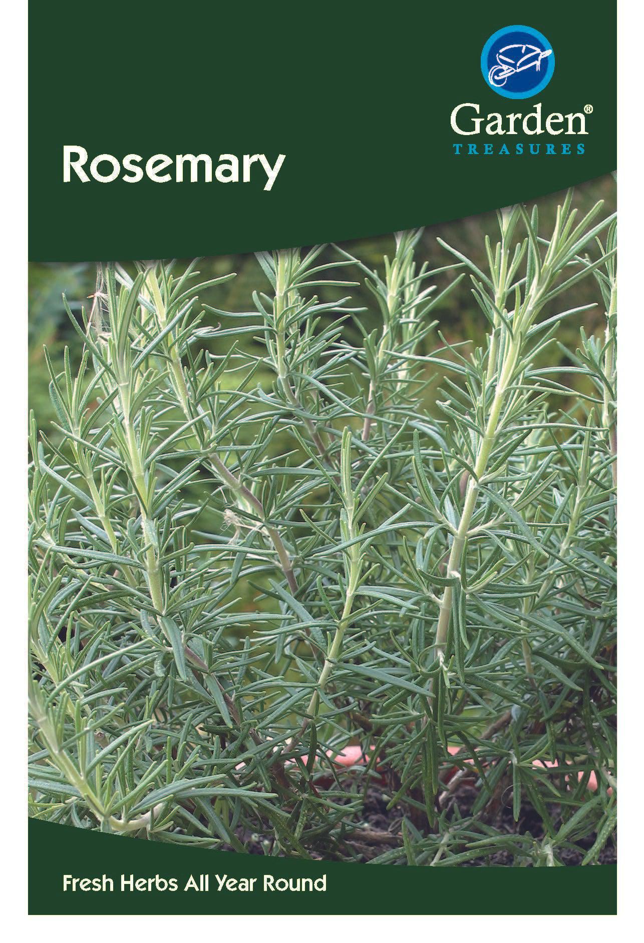 Rosemary Seeds