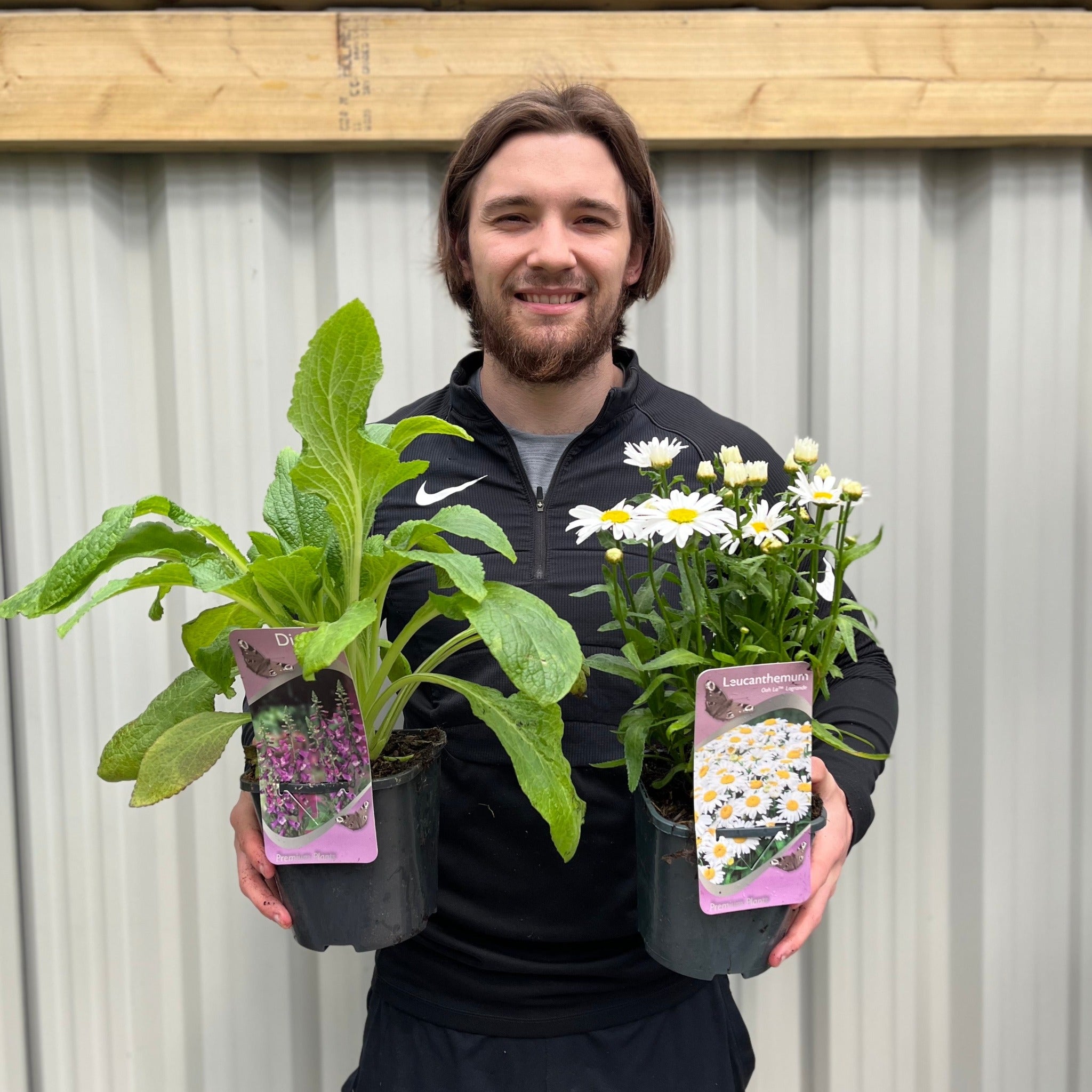 Our Selection of 3 x 2L Perennial Plants