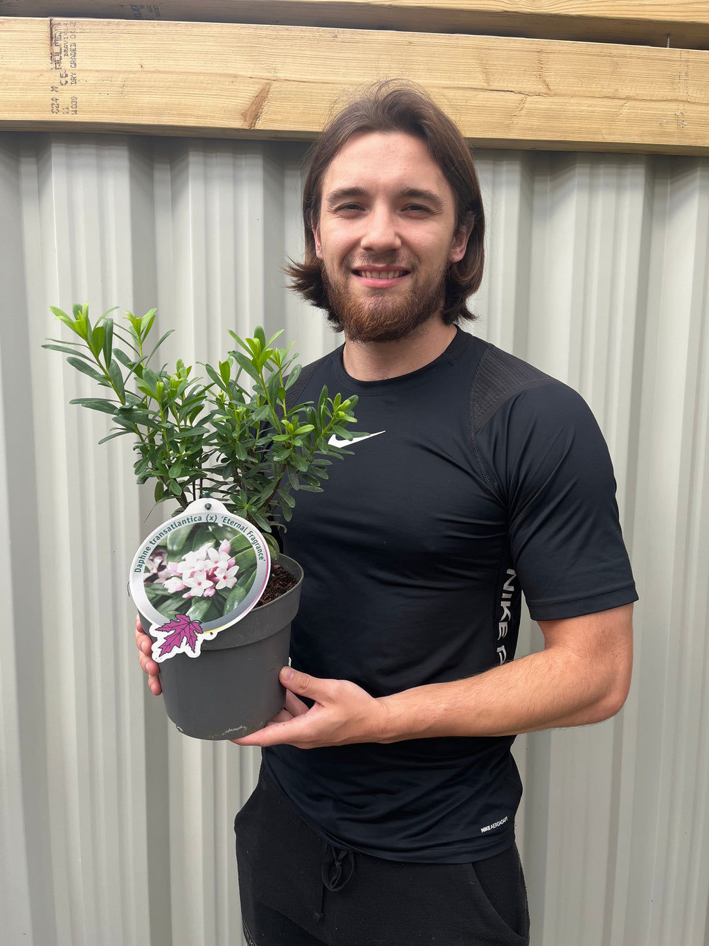 Daphne x Eternal Fragrance 1.5L/2L