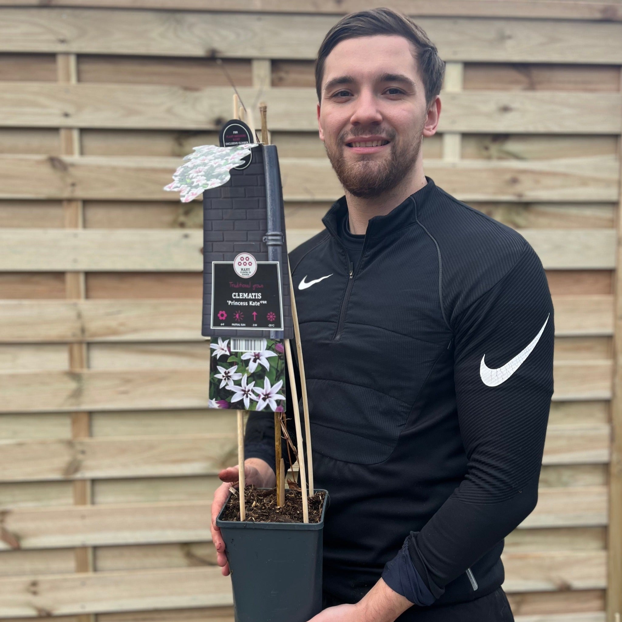 Clematis 'Princess Kate' 75cm