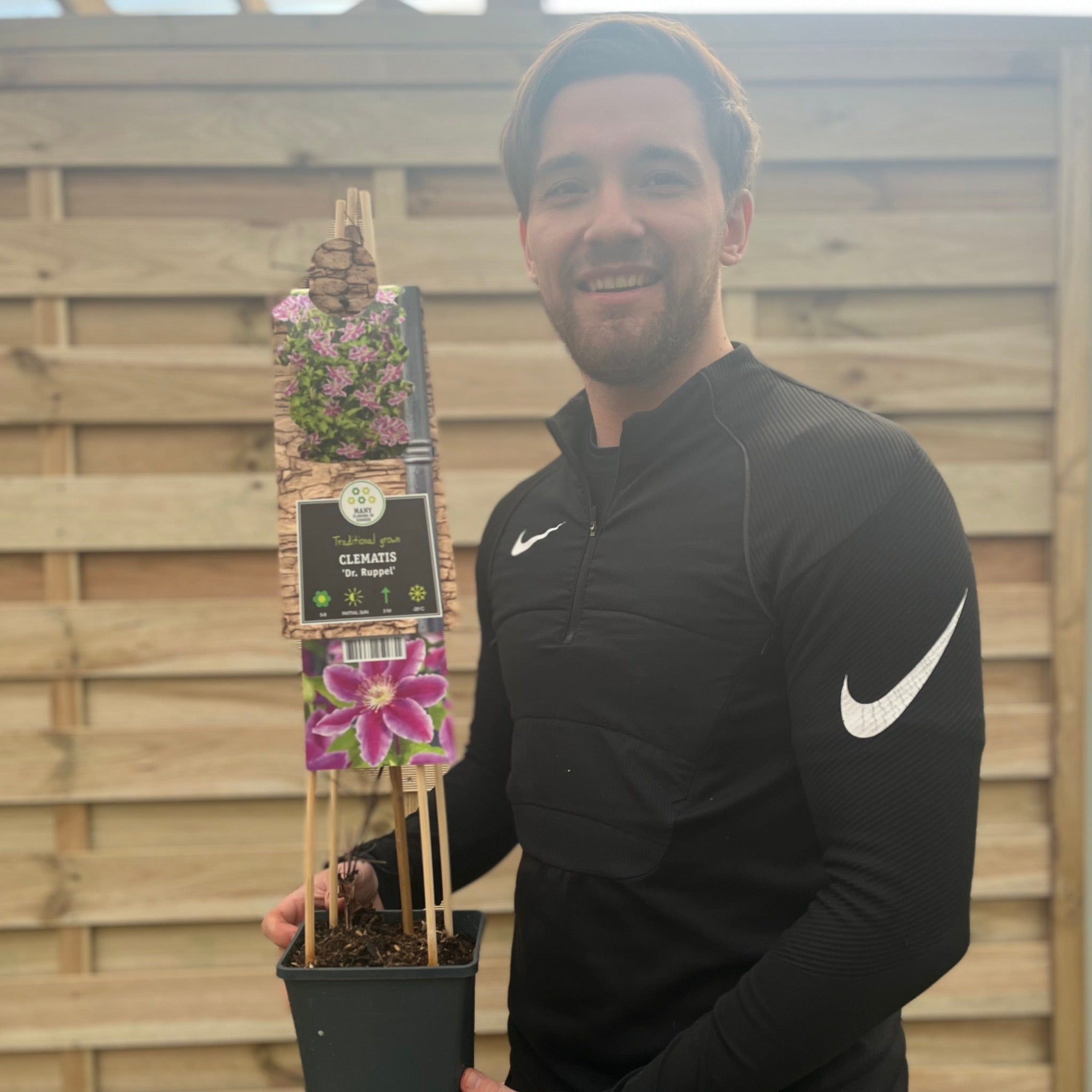 Clematis 'Doctor Ruppel' 70cm