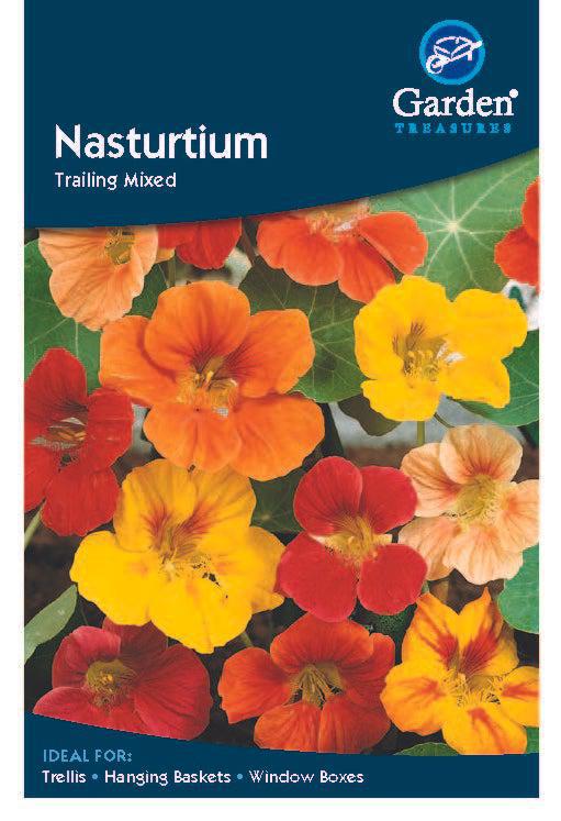 Nasturtium Trailing Mixed