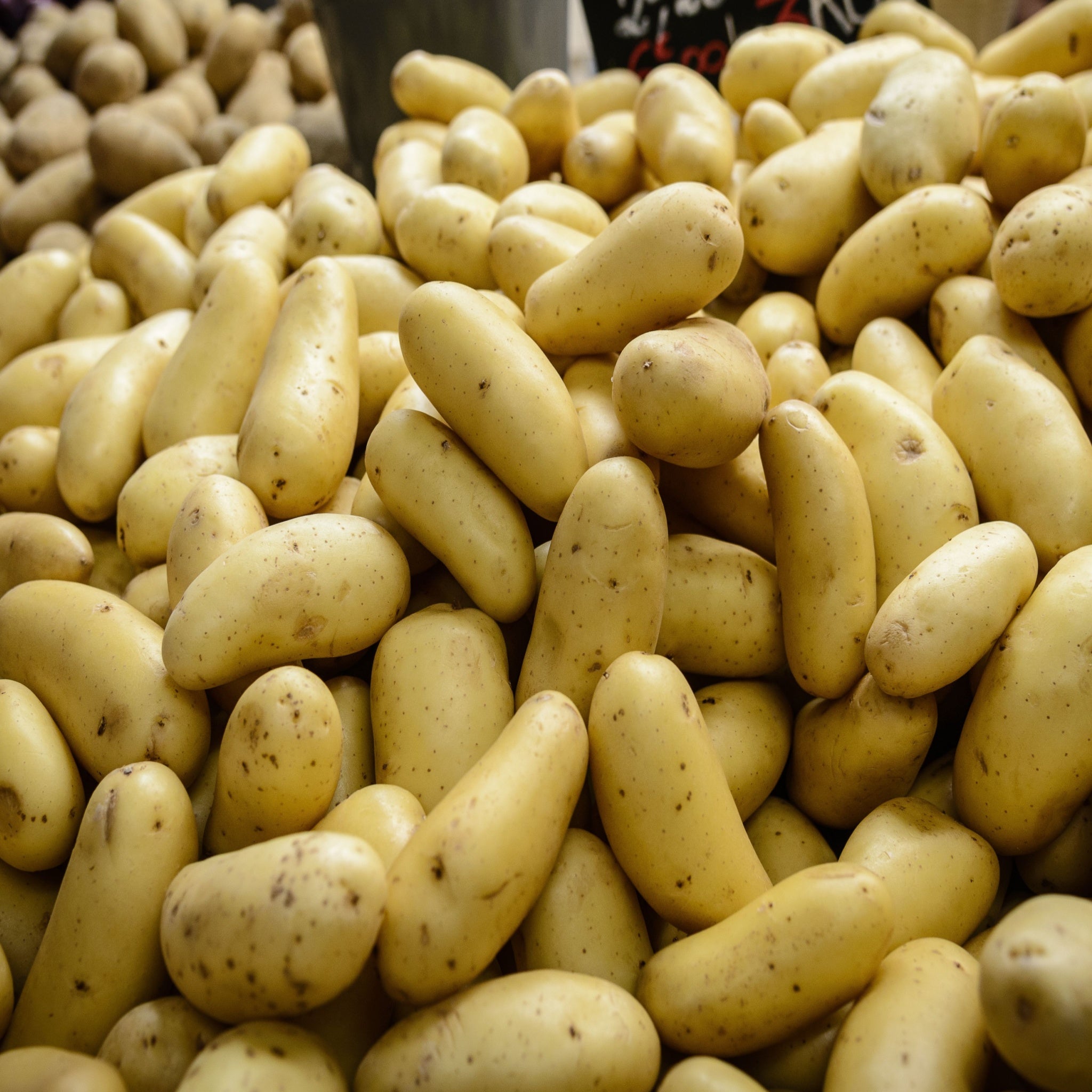 Charlotte Seed Potatoes 2KG