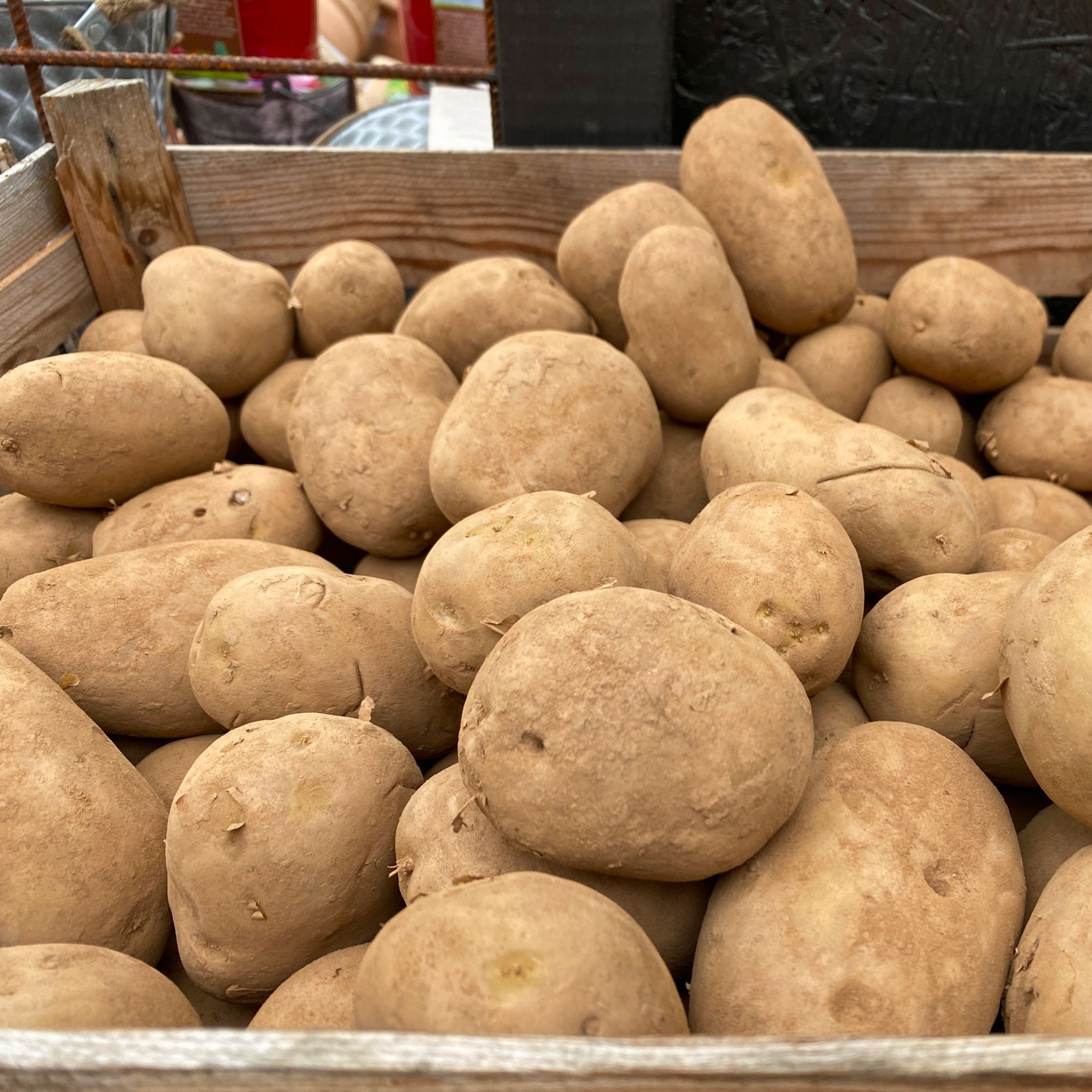 Lady Christl Seed Potatoes 2KG