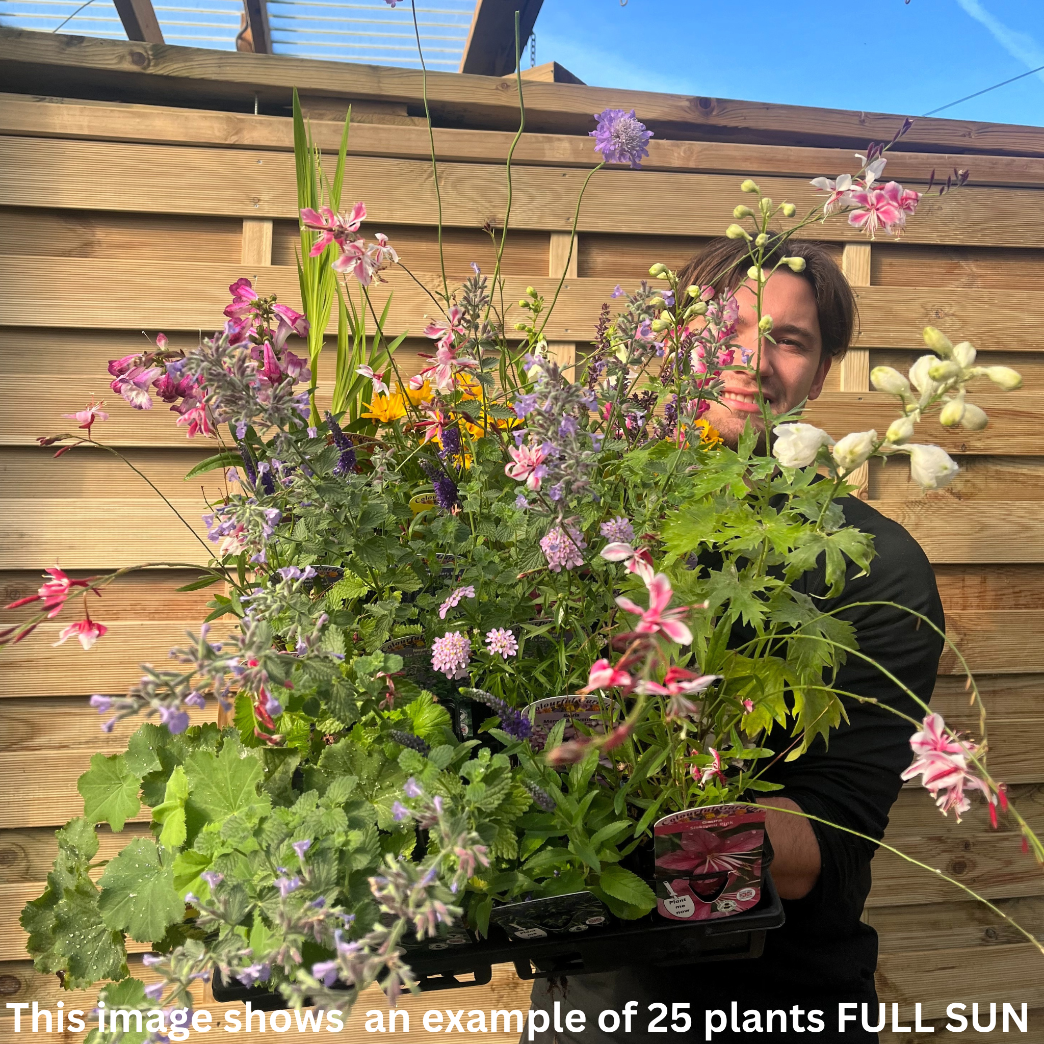 Cottage Garden Ready-made Border