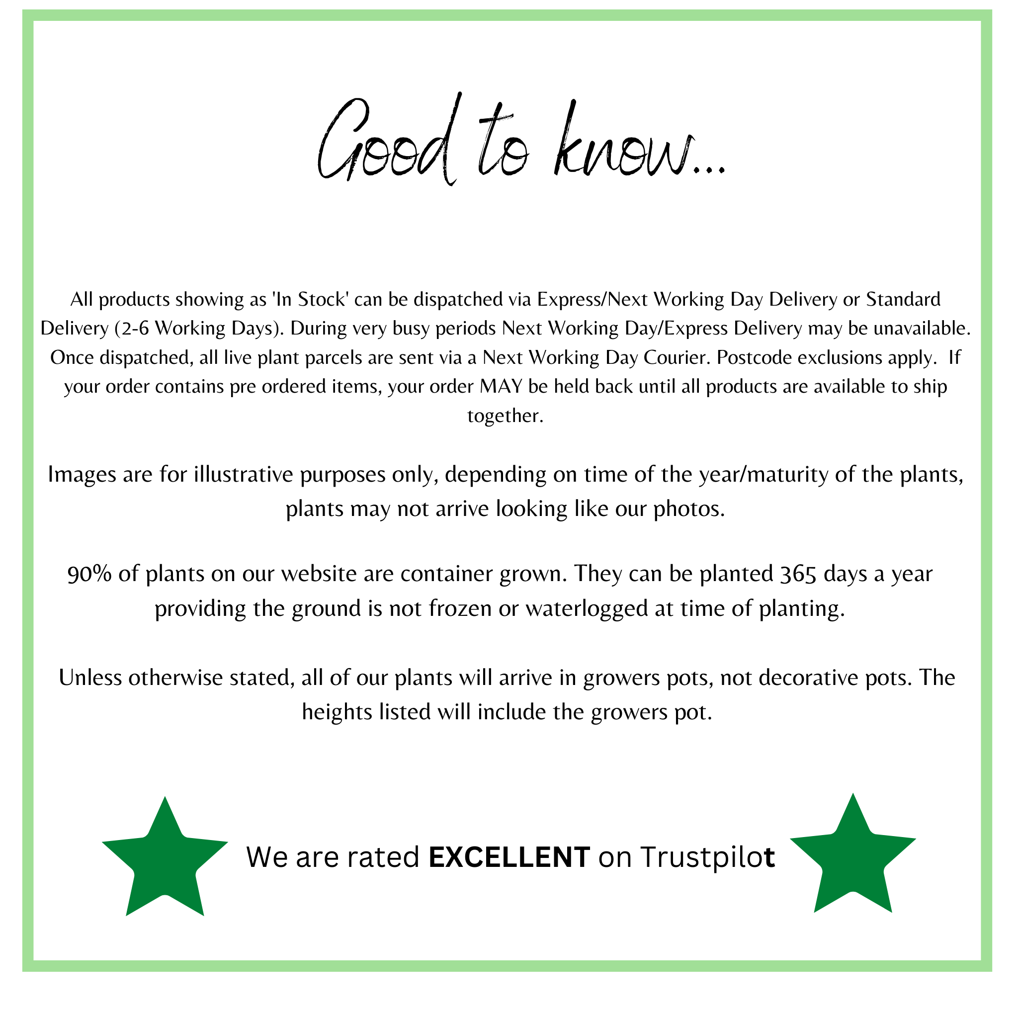 Millionbells White (9cm) Calibrachoa hybrida