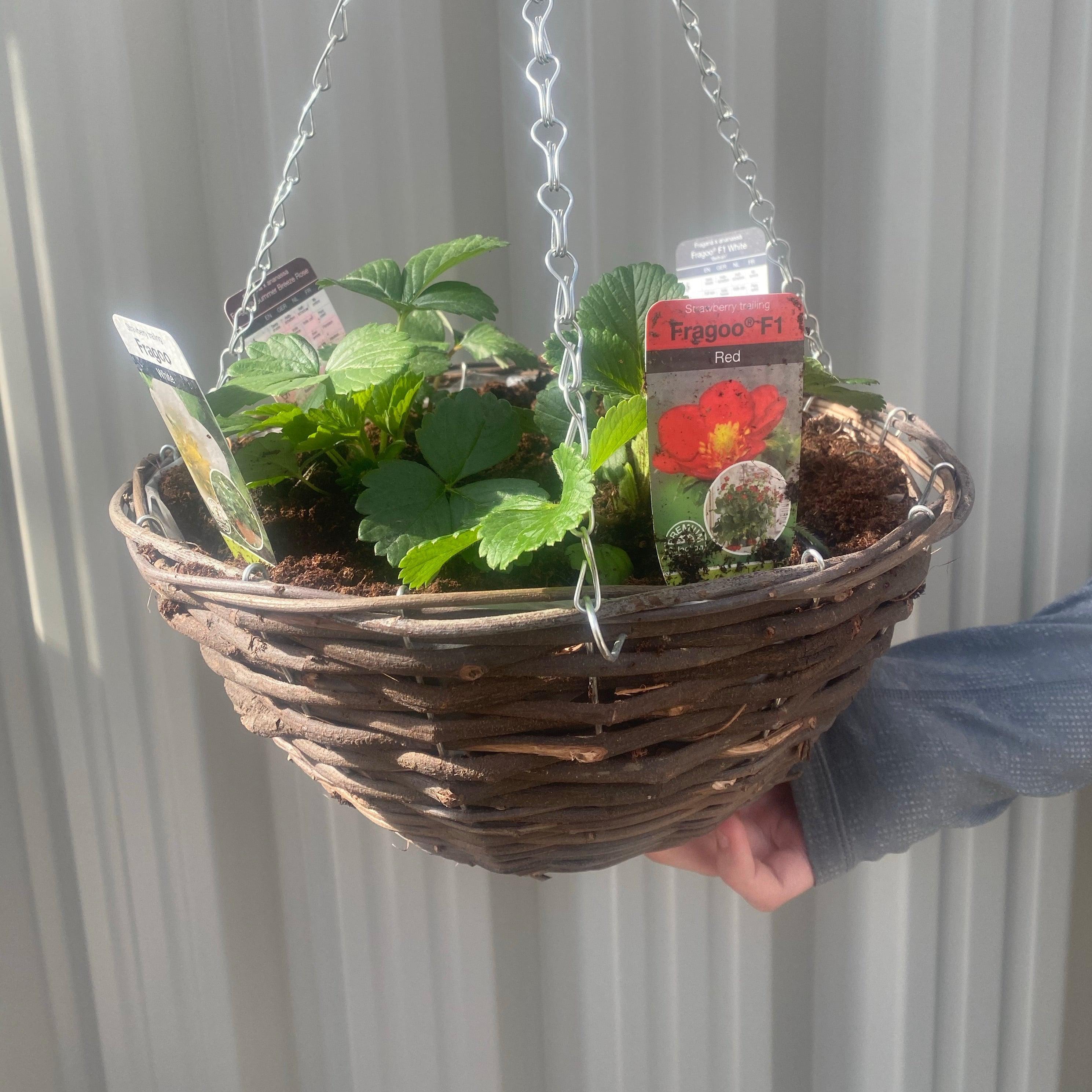 Plant Your Own - Strawberry Basket/Container
