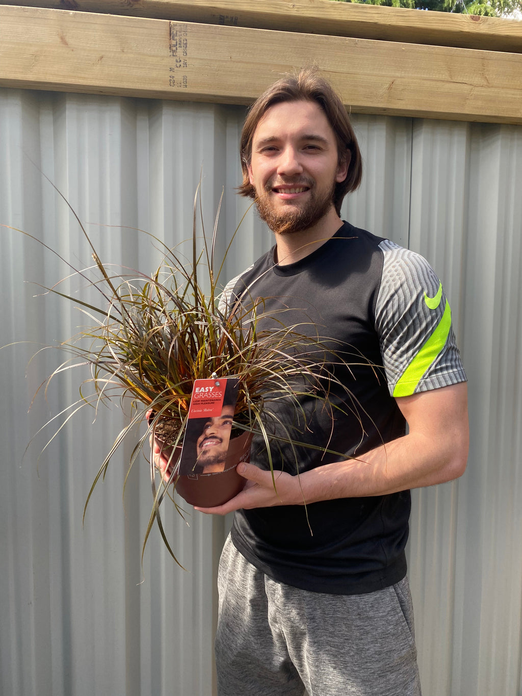 Uncinia 'Rubra' Ornamental Grass 3L