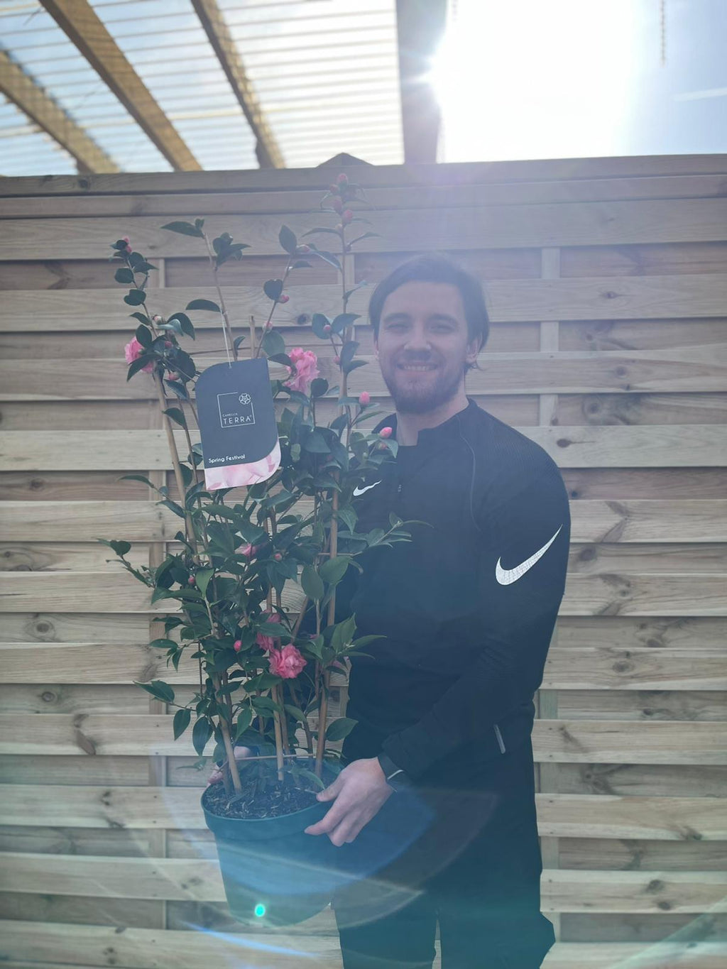 Camellia on frame 'Spring Festival ' 5L (100cm)