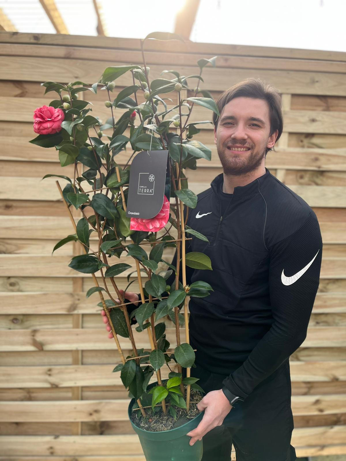 Camellia 'Orandako' 1L / 5L (100cm)